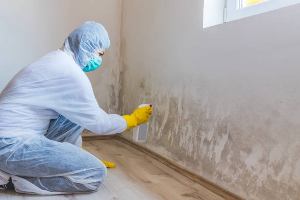 Mold Remediation specialist working in Oaklyn